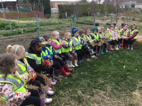 Reception Class visit Ark Community Gardens