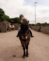 Rainbow Room Horse Riding at Mount Pleasant