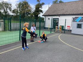 Primary 6 Investigate Flight