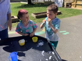 Primary 2 Science in the Sun