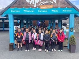 P4 trip to Portaferry